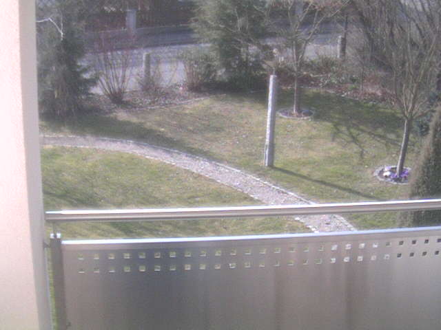 Bild der IP-CAM alle 20min